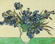 Vincent Van Gogh Vase with Irises Norge oil painting reproduction